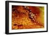 Geothermal Red Rocks-Howard Ruby-Framed Photographic Print
