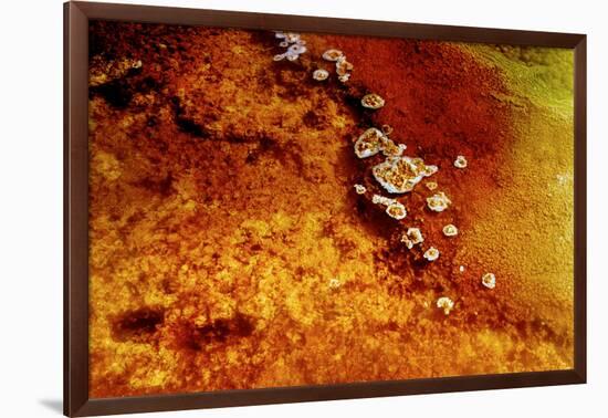 Geothermal Red Rocks-Howard Ruby-Framed Photographic Print