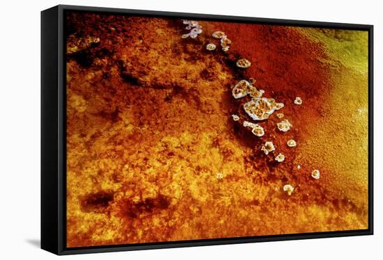 Geothermal Red Rocks-Howard Ruby-Framed Stretched Canvas