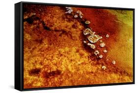 Geothermal Red Rocks-Howard Ruby-Framed Stretched Canvas