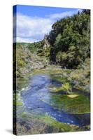 Geothermal River in the Waimangu Volcanic Valley, North Island, New Zealand, Pacific-Michael Runkel-Stretched Canvas