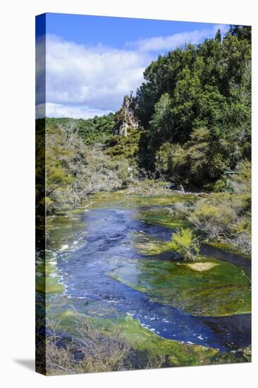 Geothermal River in the Waimangu Volcanic Valley, North Island, New Zealand, Pacific-Michael Runkel-Stretched Canvas