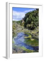 Geothermal River in the Waimangu Volcanic Valley, North Island, New Zealand, Pacific-Michael Runkel-Framed Photographic Print