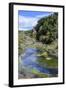 Geothermal River in the Waimangu Volcanic Valley, North Island, New Zealand, Pacific-Michael Runkel-Framed Photographic Print