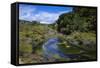 Geothermal River in the Waimangu Volcanic Valley, North Island, New Zealand, Pacific-Michael Runkel-Framed Stretched Canvas