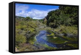 Geothermal River in the Waimangu Volcanic Valley, North Island, New Zealand, Pacific-Michael Runkel-Framed Stretched Canvas