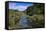 Geothermal River in the Waimangu Volcanic Valley, North Island, New Zealand, Pacific-Michael Runkel-Framed Stretched Canvas