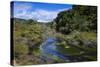 Geothermal River in the Waimangu Volcanic Valley, North Island, New Zealand, Pacific-Michael Runkel-Stretched Canvas