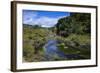 Geothermal River in the Waimangu Volcanic Valley, North Island, New Zealand, Pacific-Michael Runkel-Framed Photographic Print