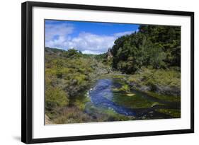 Geothermal River in the Waimangu Volcanic Valley, North Island, New Zealand, Pacific-Michael Runkel-Framed Photographic Print