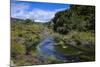 Geothermal River in the Waimangu Volcanic Valley, North Island, New Zealand, Pacific-Michael Runkel-Mounted Photographic Print