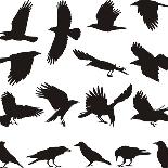 Trees and Crows Flying in the Sky-Gepard-Art Print