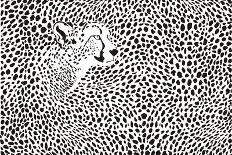 Carrion Crow-Gepard-Art Print