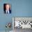 Gerald Ford-null-Photo displayed on a wall