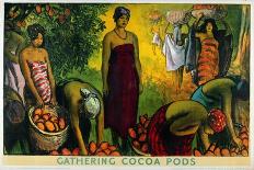 Nigeria's Exports - Gathering Palm Fruit-Gerald Spencer Pryse-Laminated Giclee Print