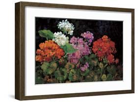 Geranios en el Jardin-J^ Ripoll-Framed Giclee Print