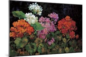 Geranios en el Jardin-J^ Ripoll-Mounted Giclee Print