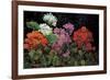 Geranios en el Jardin-J^ Ripoll-Framed Giclee Print