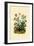 Geranium, 1833-39-null-Framed Giclee Print