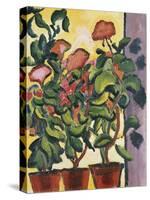 Geranium Am Fenster-Auguste Macke-Stretched Canvas