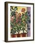 Geranium Am Fenster-Auguste Macke-Framed Giclee Print