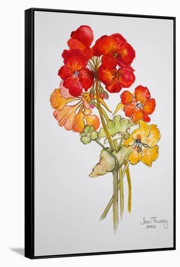 Geranium and Nasturtiums, 2014-Joan Thewsey-Framed Stretched Canvas
