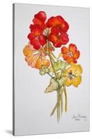 Geranium and Nasturtiums, 2014-Joan Thewsey-Stretched Canvas