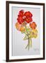 Geranium and Nasturtiums, 2014-Joan Thewsey-Framed Giclee Print