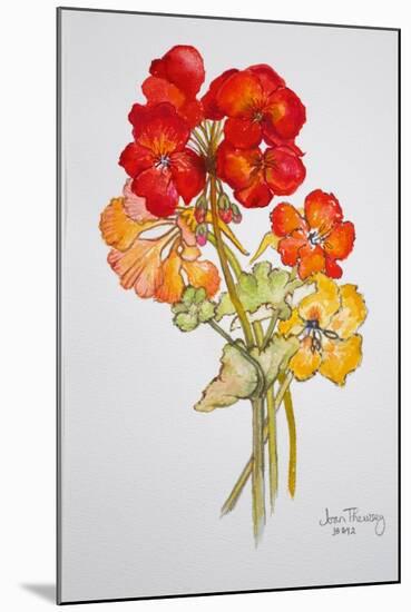 Geranium and Nasturtiums, 2014-Joan Thewsey-Mounted Giclee Print