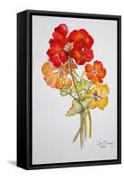 Geranium and Nasturtiums, 2014-Joan Thewsey-Framed Stretched Canvas
