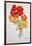 Geranium and Nasturtiums, 2014-Joan Thewsey-Framed Giclee Print