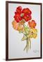 Geranium and Nasturtiums, 2014-Joan Thewsey-Framed Giclee Print