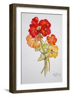 Geranium and Nasturtiums, 2014-Joan Thewsey-Framed Giclee Print