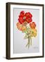 Geranium and Nasturtiums, 2014-Joan Thewsey-Framed Giclee Print