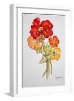 Geranium and Nasturtiums, 2014-Joan Thewsey-Framed Giclee Print