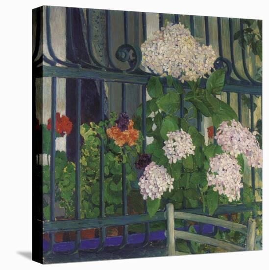 Geranium; Geranien-Kolo Moser-Stretched Canvas