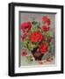 Geranium in an Earthenware Vase-Albert Williams-Framed Premium Giclee Print