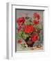 Geranium in an Earthenware Vase-Albert Williams-Framed Premium Giclee Print