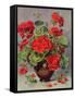 Geranium in an Earthenware Vase-Albert Williams-Framed Stretched Canvas