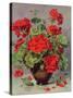 Geranium in an Earthenware Vase-Albert Williams-Stretched Canvas