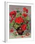 Geranium in an Earthenware Vase-Albert Williams-Framed Giclee Print