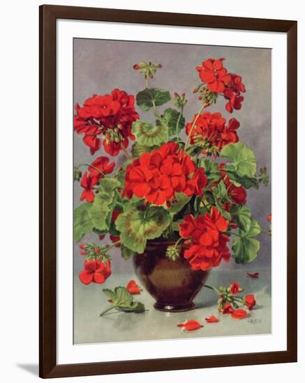 Geranium in an Earthenware Vase-Albert Williams-Framed Giclee Print