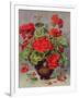 Geranium in an Earthenware Vase-Albert Williams-Framed Giclee Print