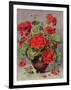 Geranium in an Earthenware Vase-Albert Williams-Framed Giclee Print