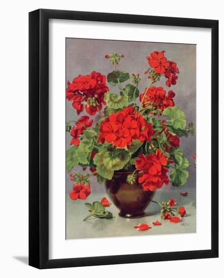 Geranium in an Earthenware Vase-Albert Williams-Framed Giclee Print