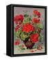Geranium in an Earthenware Vase-Albert Williams-Framed Stretched Canvas