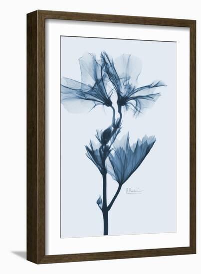 Geranium in Blue-Albert Koetsier-Framed Art Print