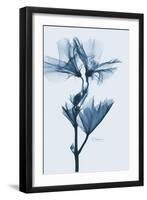 Geranium in Blue-Albert Koetsier-Framed Art Print