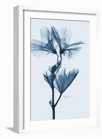 Geranium in Blue-Albert Koetsier-Framed Art Print