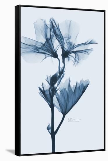 Geranium in Blue-Albert Koetsier-Framed Stretched Canvas